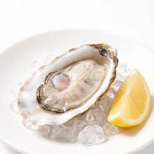 Load image into Gallery viewer, Fresh Live Oysters