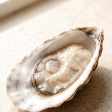 Load image into Gallery viewer, Fresh Live Oysters