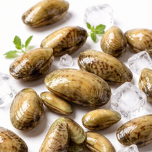Load image into Gallery viewer, Sea Melon Seeds (Coquina Clams)