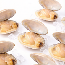Load image into Gallery viewer, Vacuum-Packed Fresh Clams